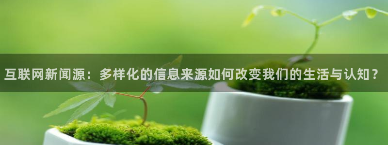 互联网新闻源：多样化的信息来源如何改变我们的生活与认知？