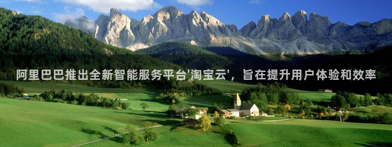 阿里巴巴推出全新智能服务平台\'淘宝云\'，旨在提升用户体验和效率