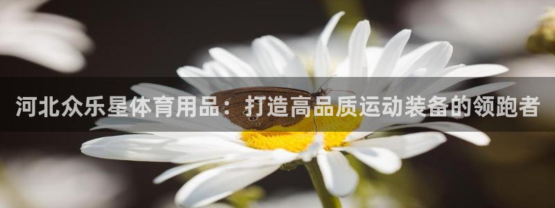 河北众乐星体育用品：打造高品质运动装备的领跑者