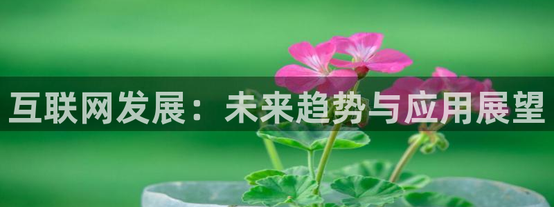 互联网发展：未来趋势与应用展望