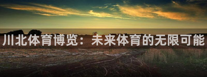 川北体育博览：未来体育的无限可能