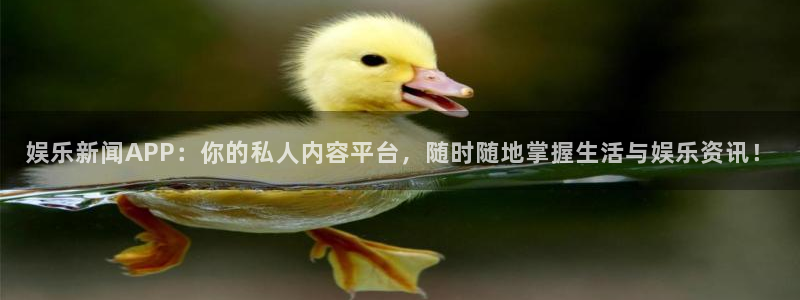 娱乐新闻APP：你的私人内容平台，随时随地掌握生活与娱乐资讯！