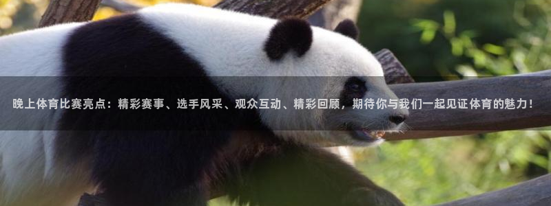 晚上体育比赛亮点：精彩赛事、选手风采、观众互动、精彩回顾，期待你与我们一起见证体育的魅力！