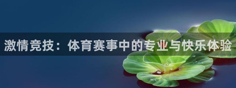 激情竞技：体育赛事中的专业与快乐体验