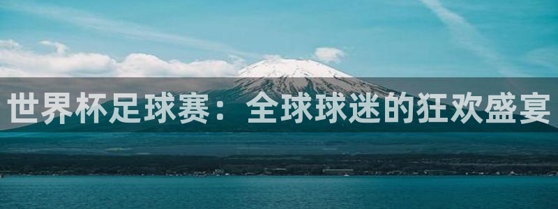 世界杯足球赛：全球球迷的狂欢盛宴