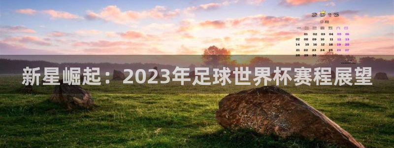 新星崛起：2023年足球世界杯赛程展望