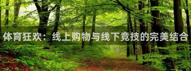 体育狂欢：线上购物与线下竞技的完美结合