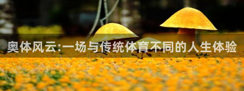 奥体风云:一场与传统体育不同的人生体验