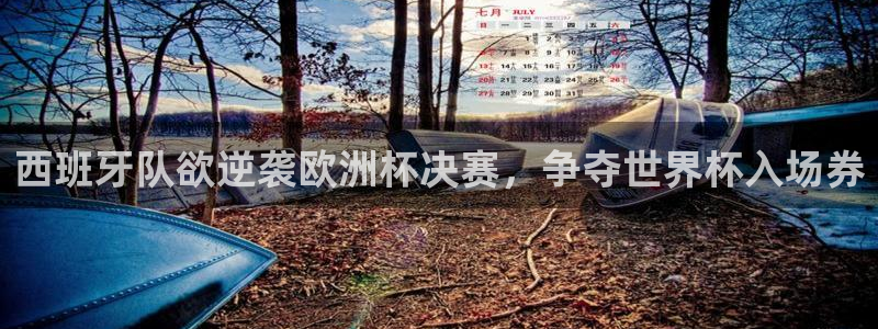 西班牙队欲逆袭欧洲杯决赛，争夺世界杯入场券