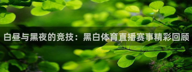 白昼与黑夜的竞技：黑白体育直播赛事精彩回顾