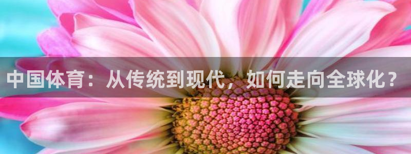 中国体育：从传统到现代，如何走向全球化？